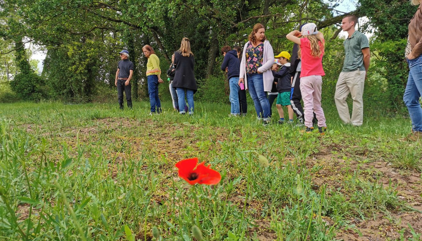 La fête de printemps de l’AMAP